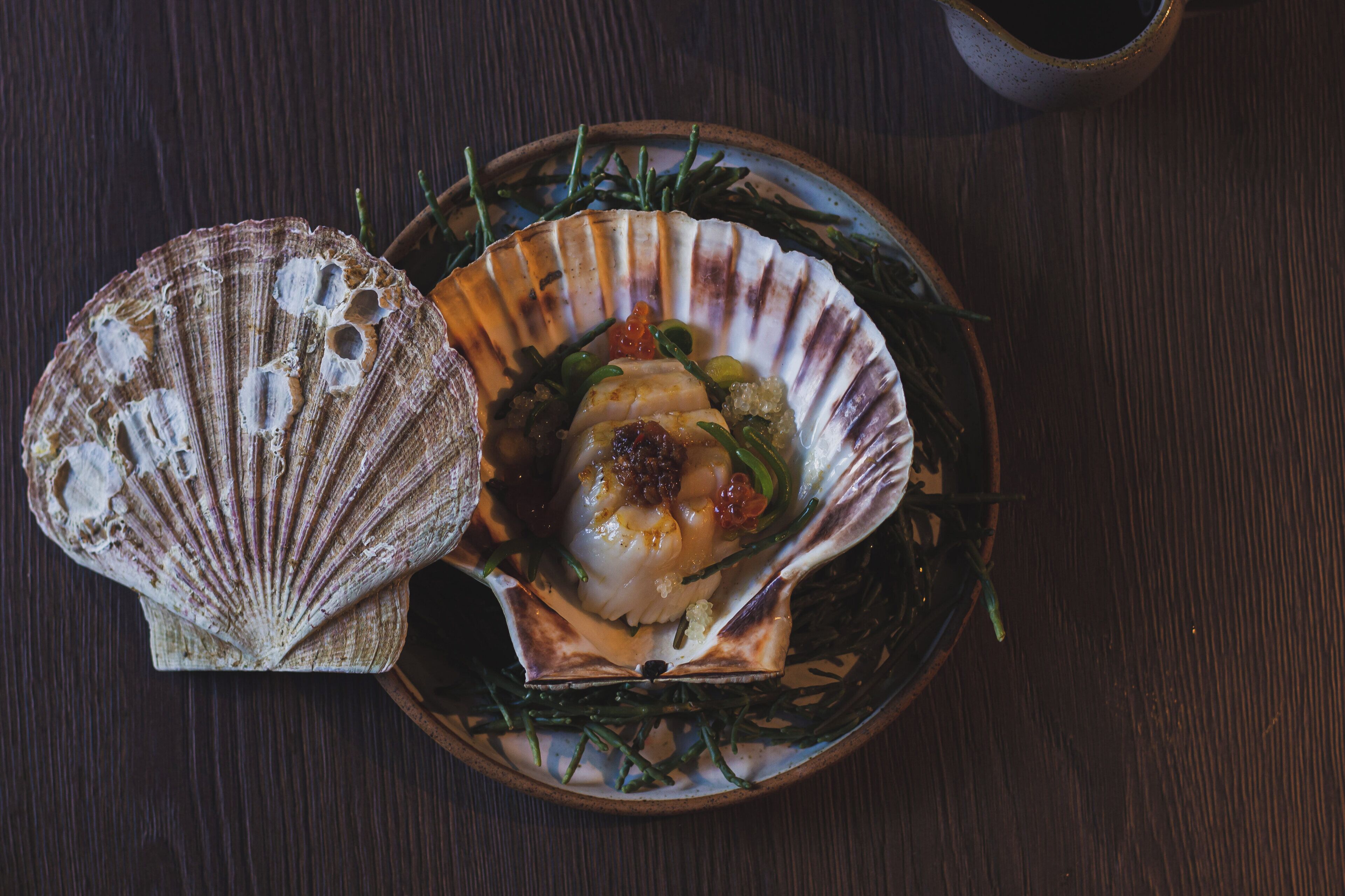 A plate with a scallop and green beans on a wooden table.