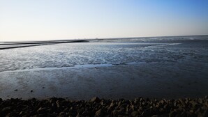 A beach with a rocky foreground and calm water. - Viola Tricolor, Exclusive FW on North Beach, pure relaxation, hiking, biking (Nordstrand)
