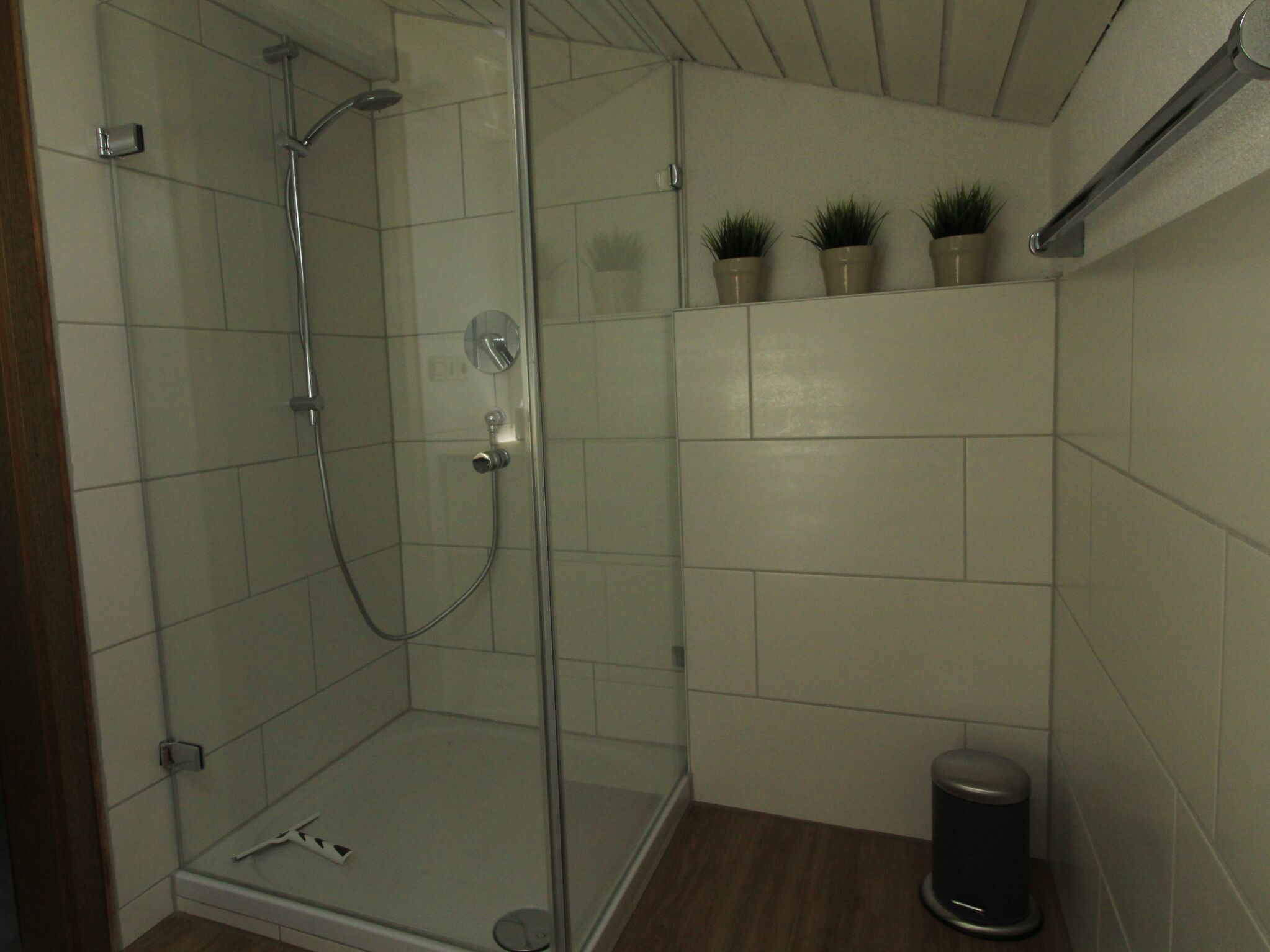 A glass-enclosed shower with a handheld showerhead, a wall-mounted faucet, and a small trash bin.