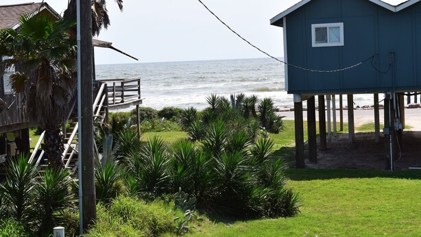 A beachfront property with a wooden deck, a small shack, and lush greenery. - Charming 2nd Row remodel with Beach Views (Surfside Beach)