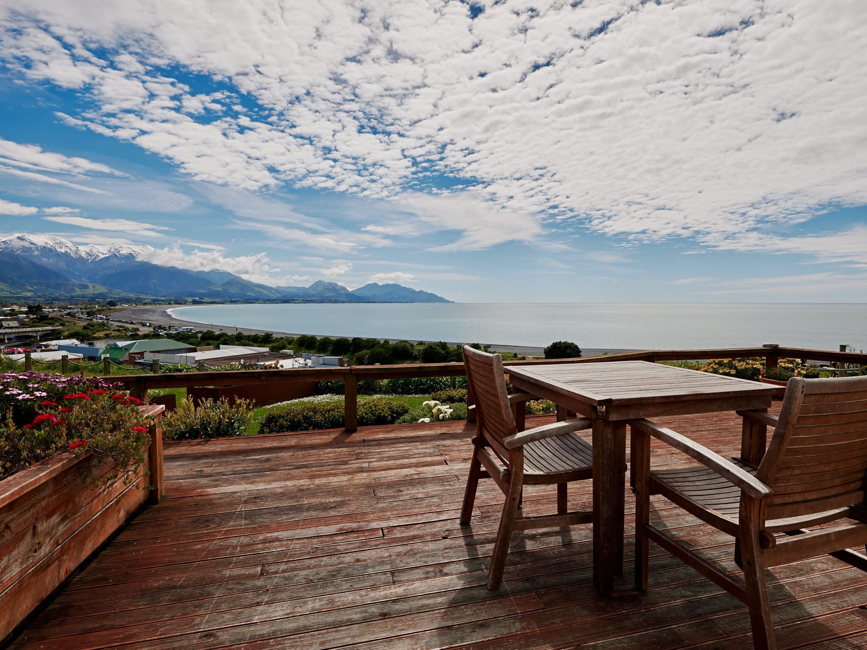 Calla Lily | Balcony
