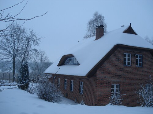 Premiumwohnung im Biosphärenreservat Südost-Rügen - Ferienwohnung in Traumlage