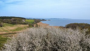 Uklassifisert bilde, 2 av 38, knapp