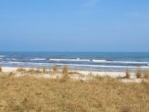 Tæt på stranden