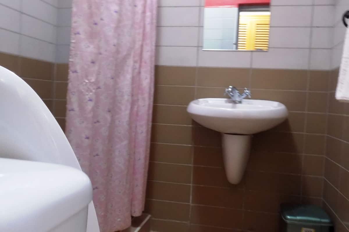 A bathroom with a white sink, a pink shower curtain, and a small trash bin.