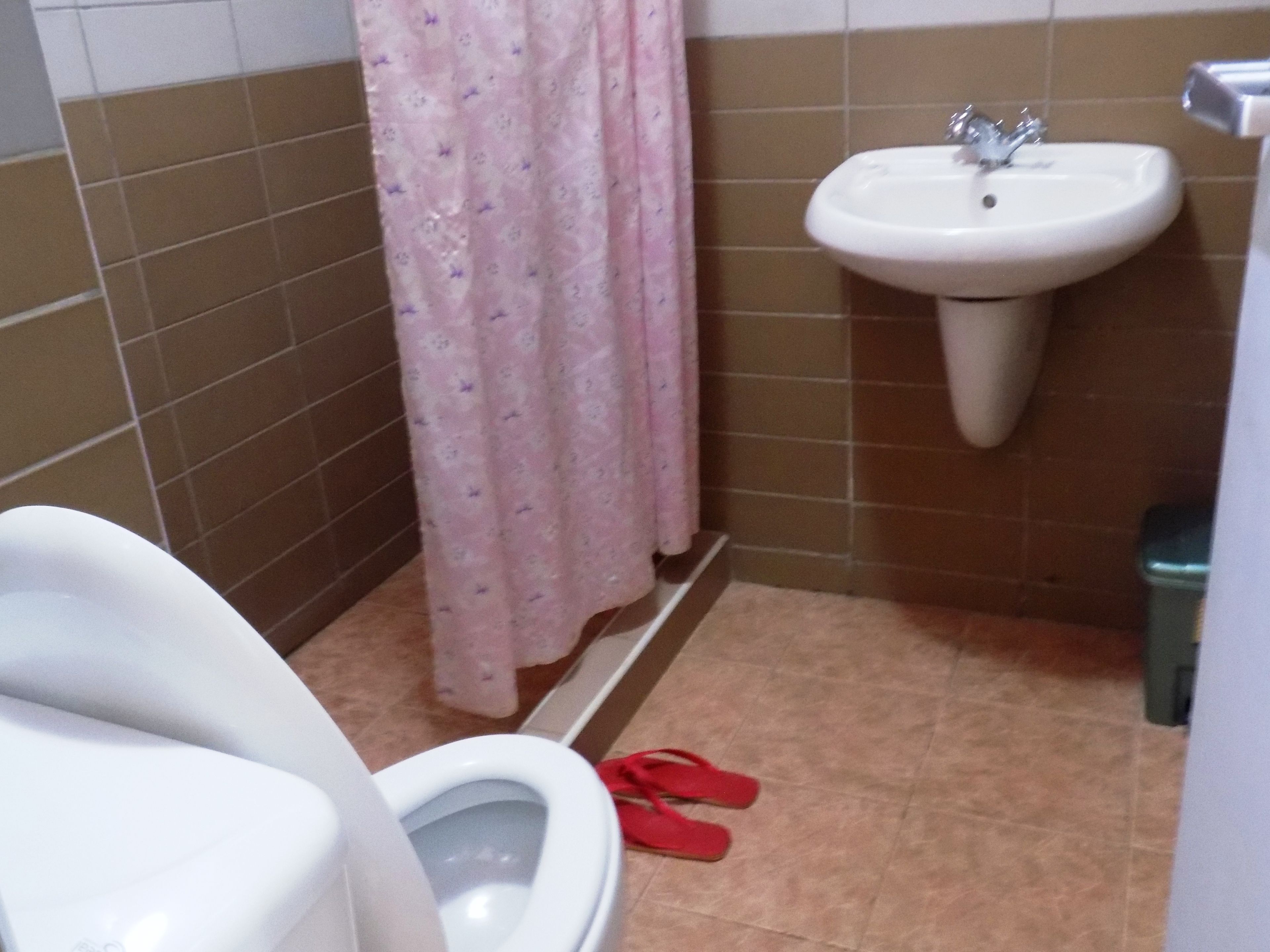 Baño con inodoro, lavamanos y cortina de ducha.