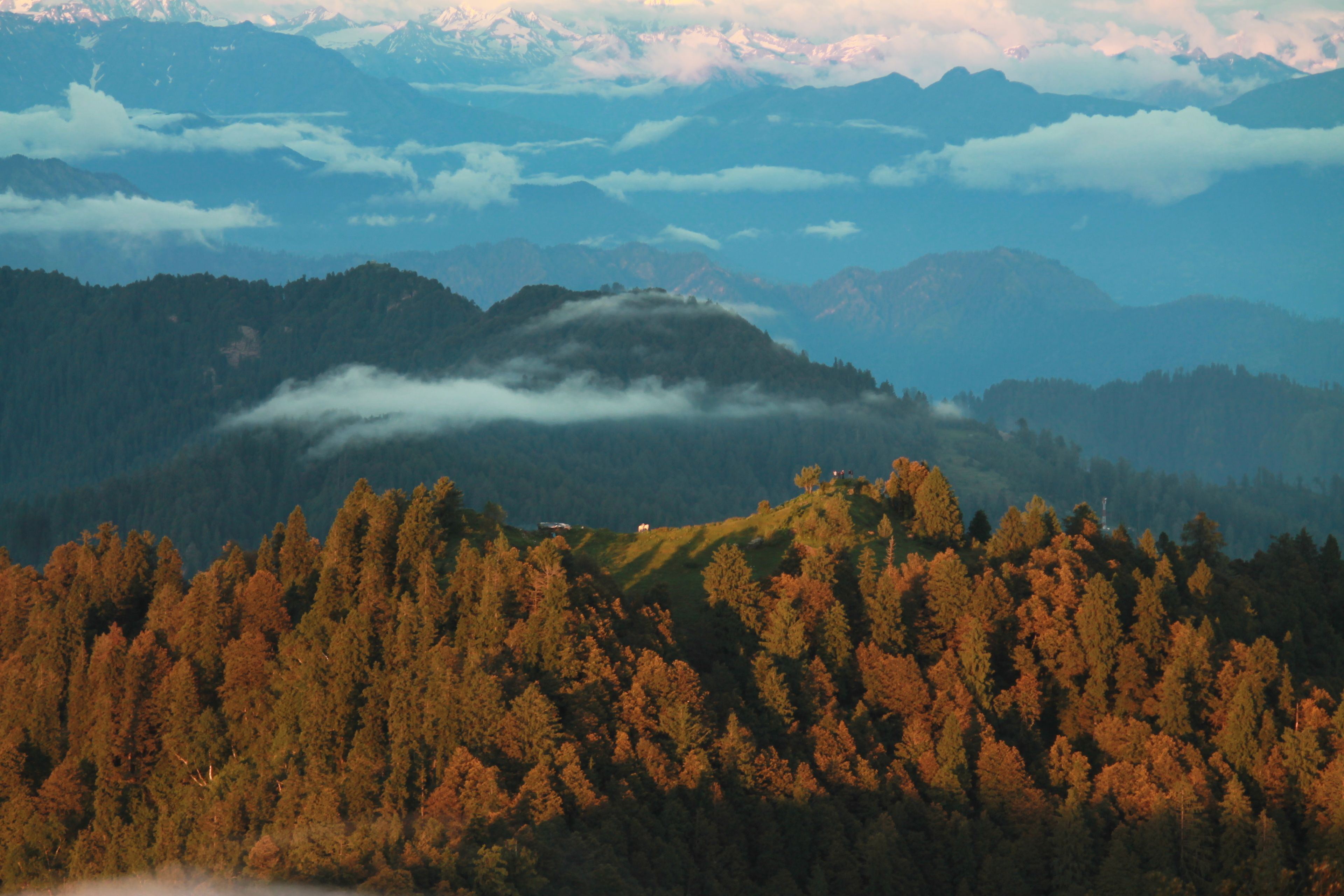 A mountainous landscape with dense forests and a clear view of distant mountains.