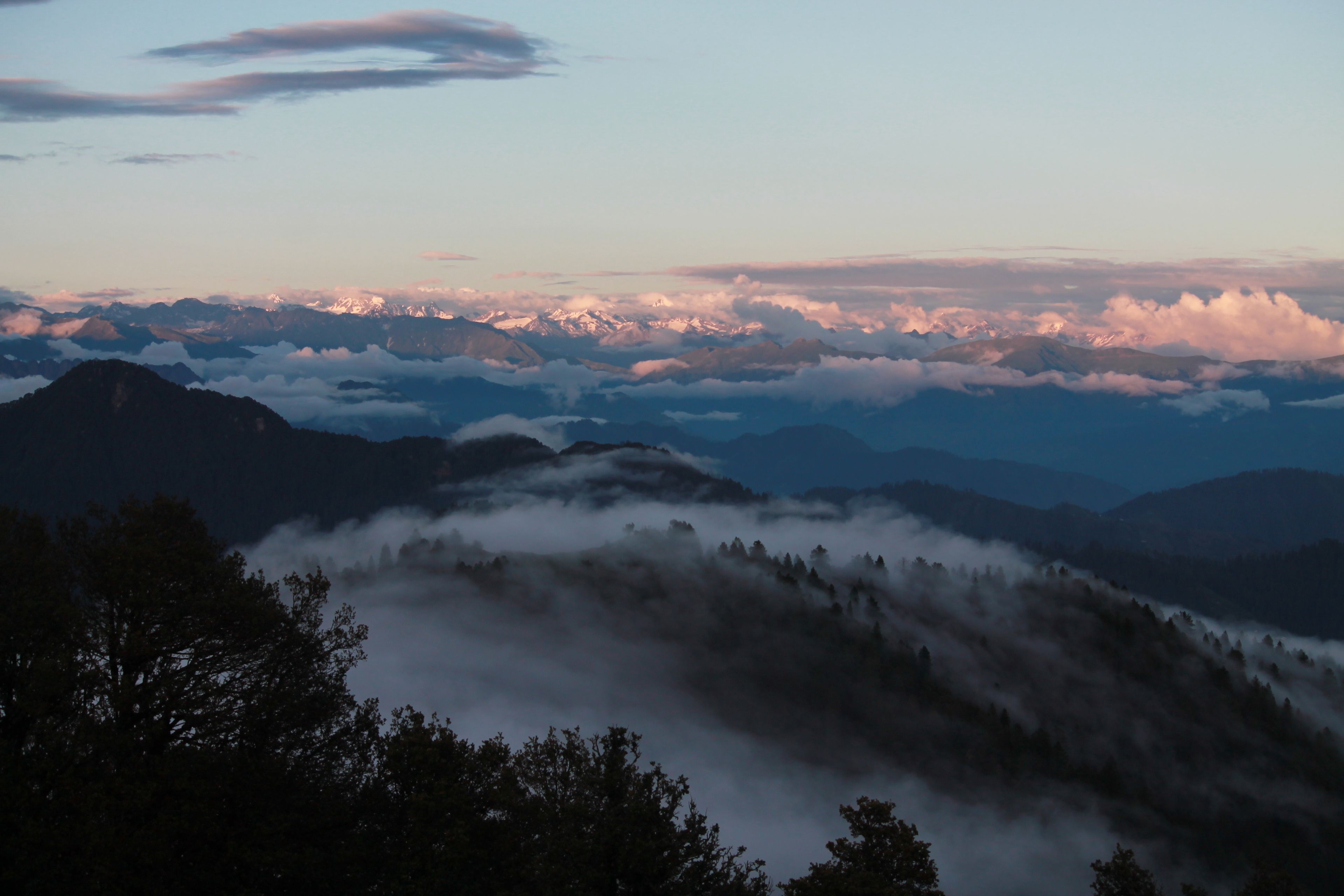 A mountainous landscape with a forested area in the foreground and a range of mountains in the background.