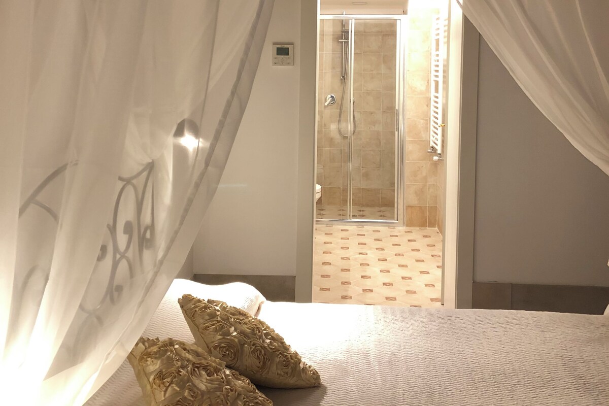 A bedroom with a bed, two decorative pillows, a shower room with glass doors, and a white curtain.