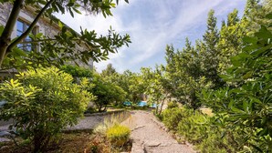 A garden pathway with various plants and a stone wall. - Beautiful stone holiday house MENTA I (Bajcici)