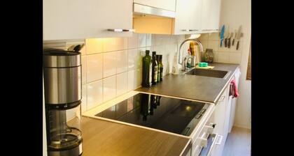 Large artsy apartment in Pasila