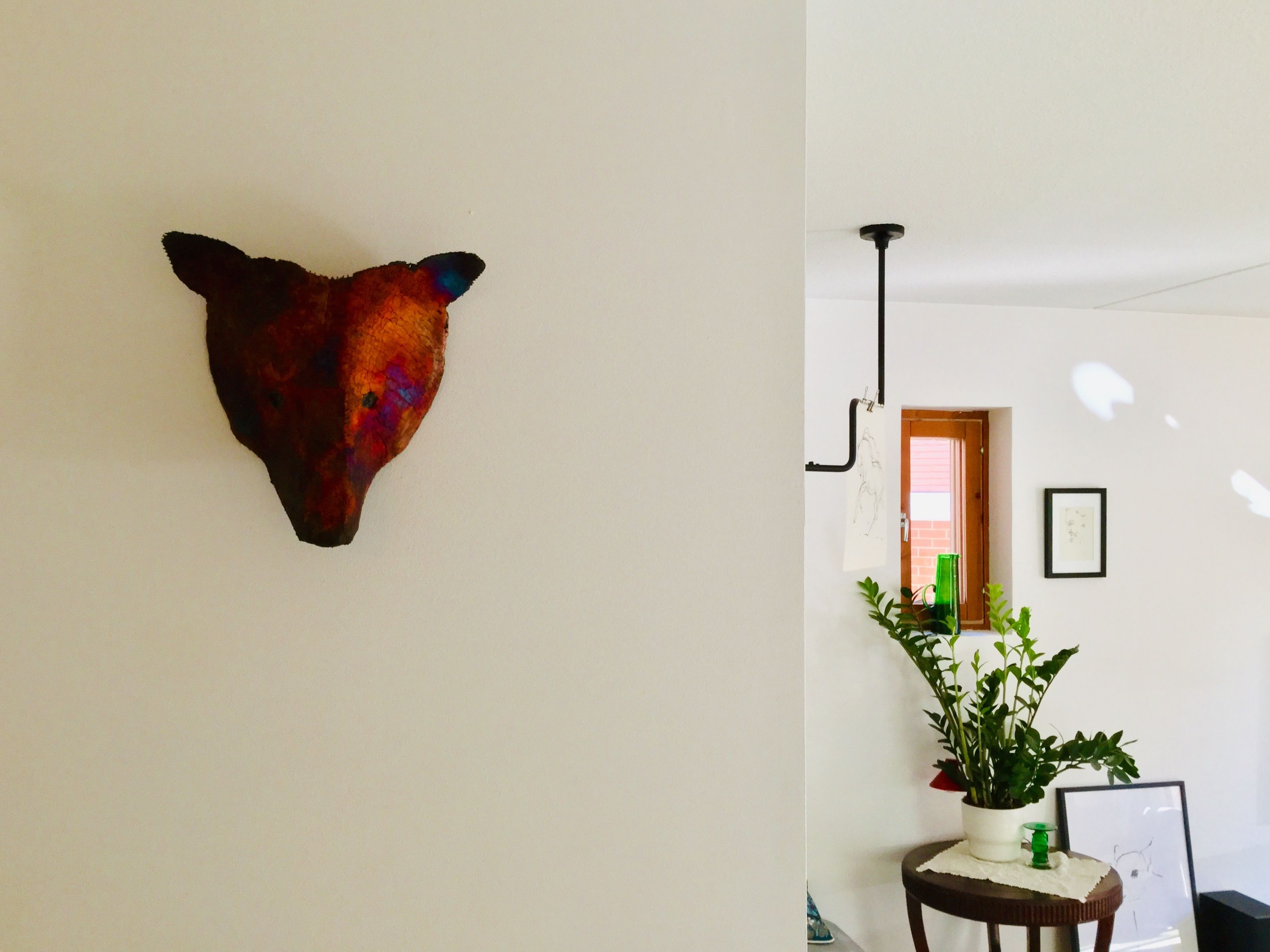 Een kamer met een opgehangen dierenhoofd, een potplant en lijstwerken aan de muur.