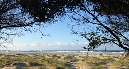 Scandinavian inspired - Linen, Secure Yard, Pets