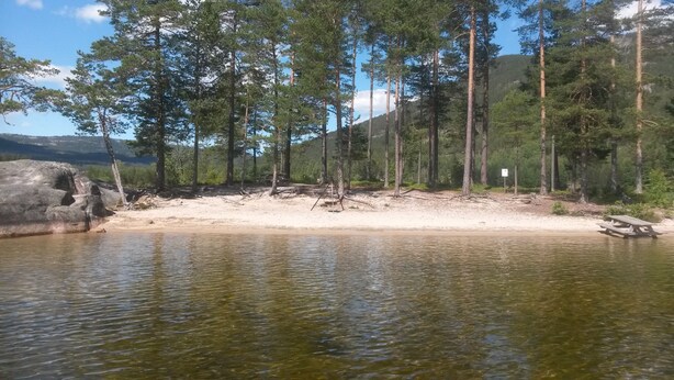 A natural landscape with a sandy beach, a calm lake, and a forest of tall trees.