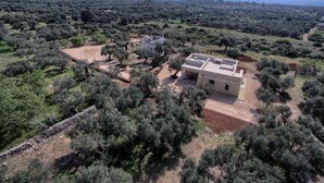 Una casa moderna con techo plano, rodeada de olivares y una vista despejada del mar.