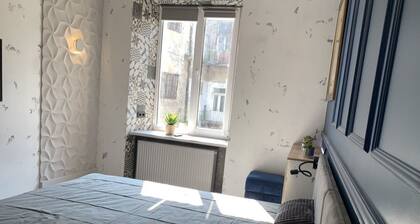 Apartment Krakivska 17