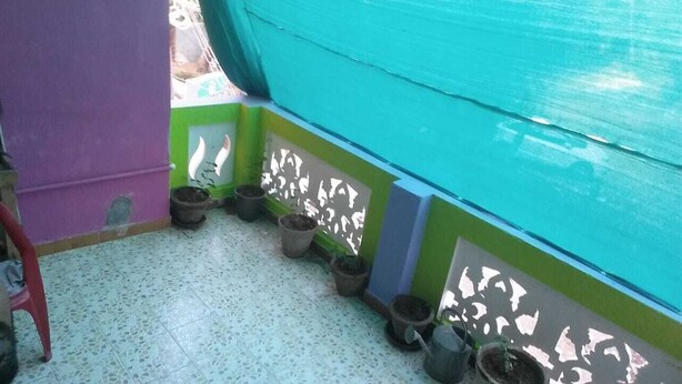 A corner of a room with a tiled floor, a purple wall, and a green and blue painted wall. There are several potted plants on the floor. - serenity beach house (puducherry)