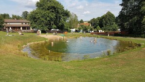 A grassy area with a small pond and people swimming.