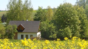 A house with a sloped roof, surrounded by a field of yellow flowers, and dense green trees in the background.