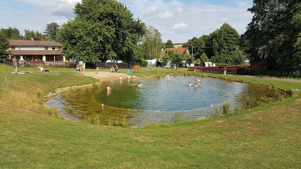 A grassy area with a small pond and people swimming.
