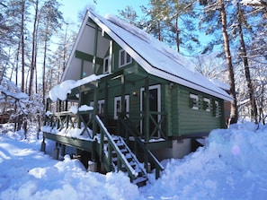 Ulkopuoli