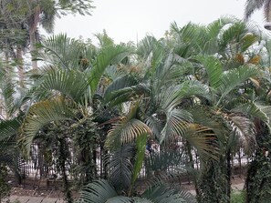 Lake view - Coco Flower Village Serviced Apartment (Hanoi)