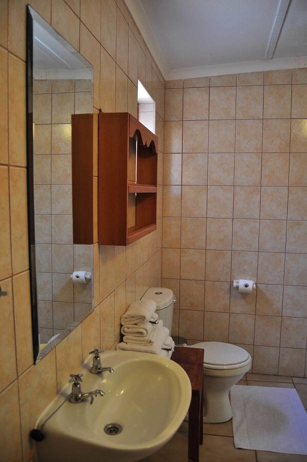 Une salle de bain équipée d’un lavabo, d’un miroir, de toilettes et d’un porte-serviettes.