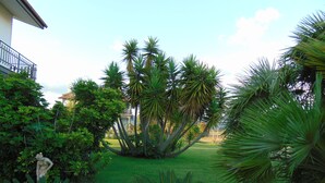A well-maintained garden with various tropical plants and a statue in the foreground. - B&B La Mia Casa per Tutti (Cerveteri)