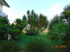 Un jardín bien cuidado con diversas plantas tropicales y una estatua al frente.