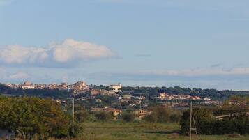 A panoramic view of a town with buildings spread across a hilly landscape.