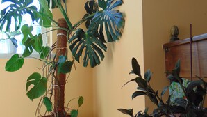A potted monstera plant in a terracotta pot on a tiled floor. - B&B La Mia Casa per Tutti (Cerveteri)