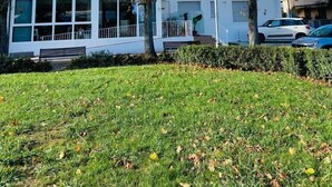 A white building with a sign reading "Cigno" on the ground floor, surrounded by trees and a grassy area. - Residence Cigno (Rimini)