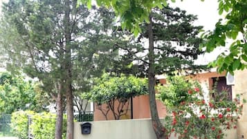 Taman