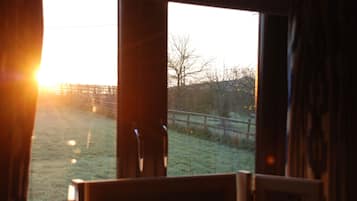 Estudio, baño privado | Vista desde la propiedad