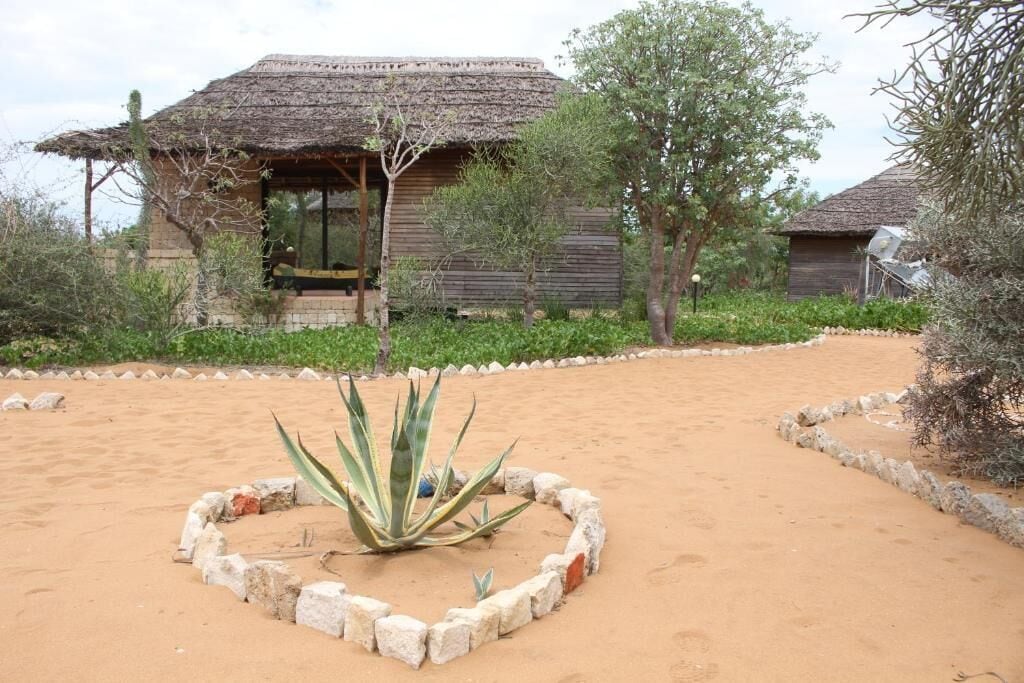Un edificio rustico con tetto di paglia, circondato da un'area sabbiosa delimitata da pietre e con una pianta di agave al centro.