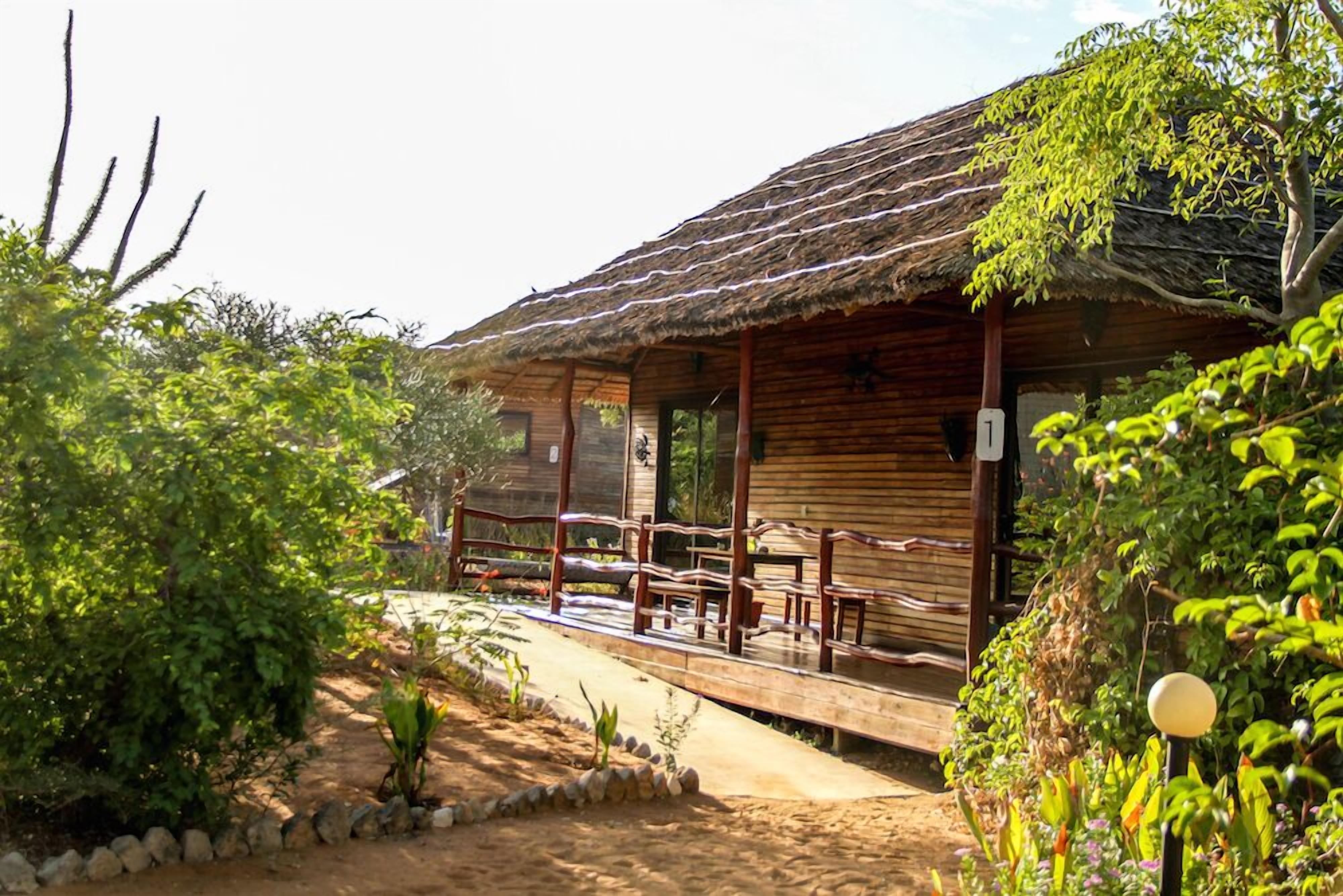 A rustic wooden cabin with a thatched roof, surrounded by lush greenery and a sandy path leading to the entrance.