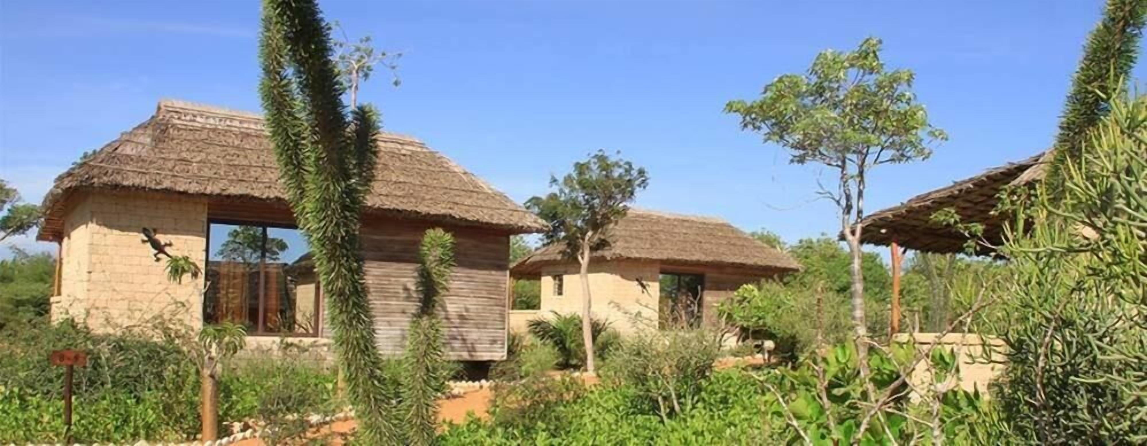 A rustic building with a thatched roof, surrounded by greenery and trees.