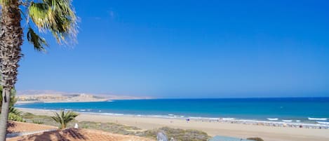 Una spiaggia nelle vicinanze, lettini da mare