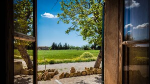 Vista a través de un ventanal a un jardín con muro de piedra, un árbol y un campo cubierto de césped.