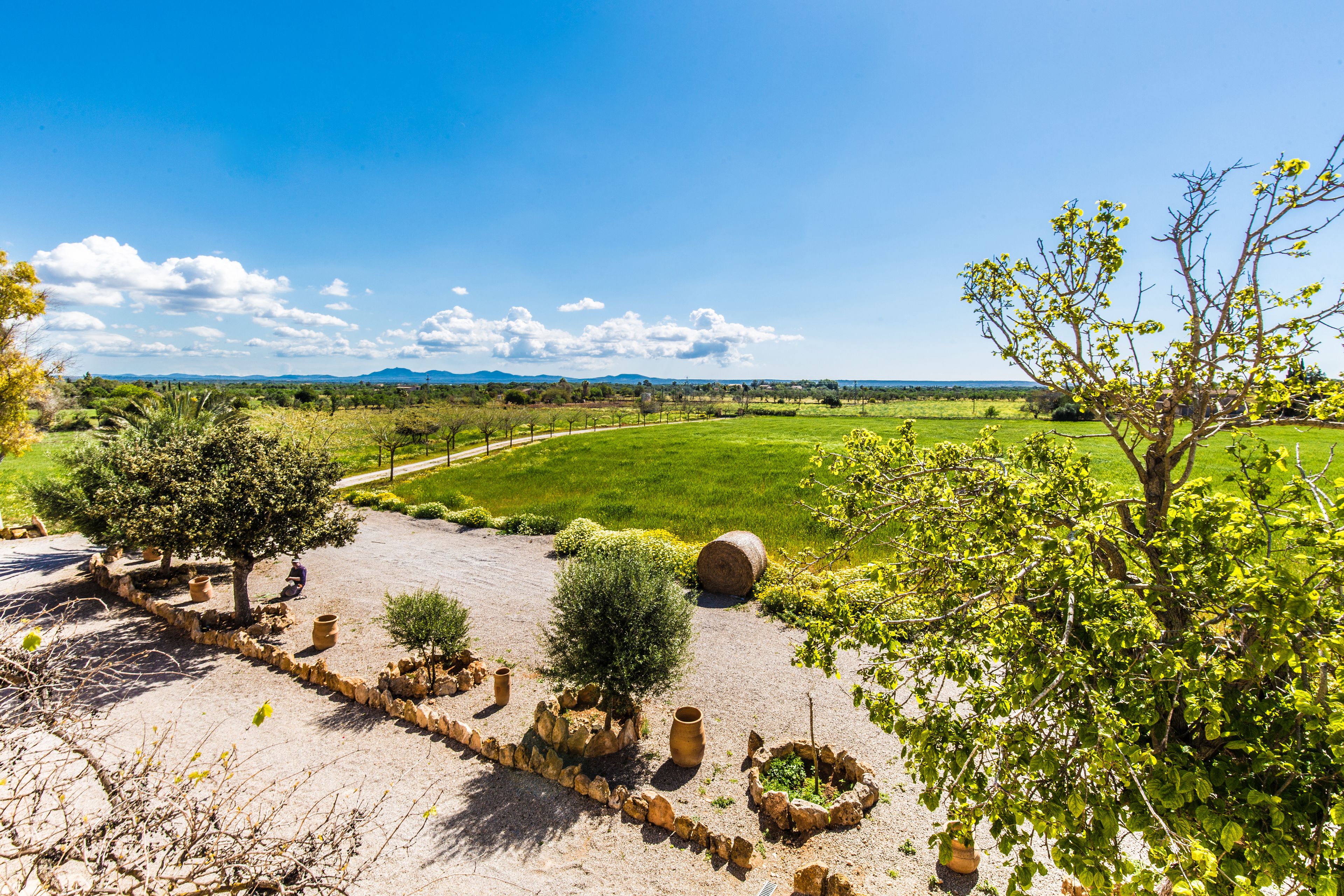 Foto - Finca Agroturismo Sa Cova den Borino