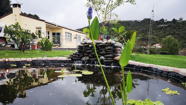 A pond with lily pads and a stack of stones, surrounded by a brick border and a grassy area with a house in the background. - Richards Travel Lodge (Jamestown)