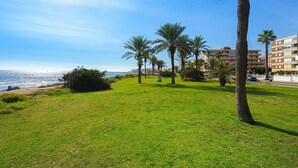 A grassy area with palm trees and a view of the sea.