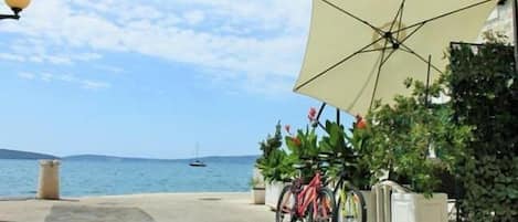 المنطقة المحيطة بالمنشأة