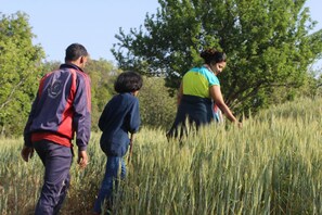 Three people walking through a field of tall grass. - Camp Sunkiya (Dhari)