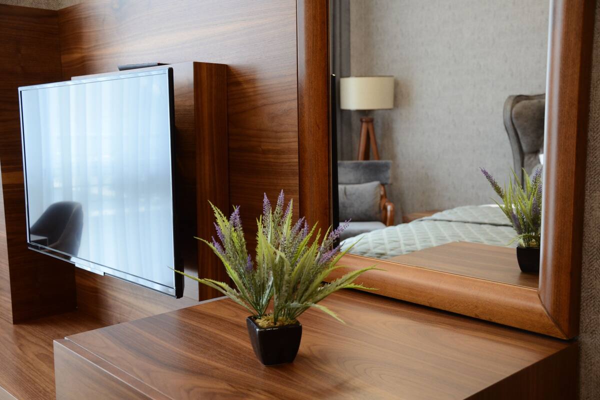 deluxe double room | television