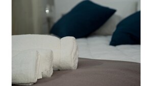 A bed with white and dark blue pillows, a white blanket, and a brown headboard. - Da Molly (Rome)