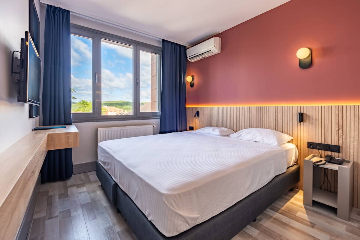 Habitación estándar con 1 cama doble o 2 individuales, vistas al parque | Minibar, caja fuerte, escritorio y sistema de insonorización