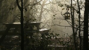 Bosque brumoso con una mesa de picnic y un farol.