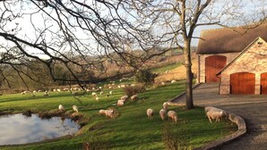 Paisaje rural con un estanque, ovejas pastando y un edificio de ladrillo con puertas grandes.