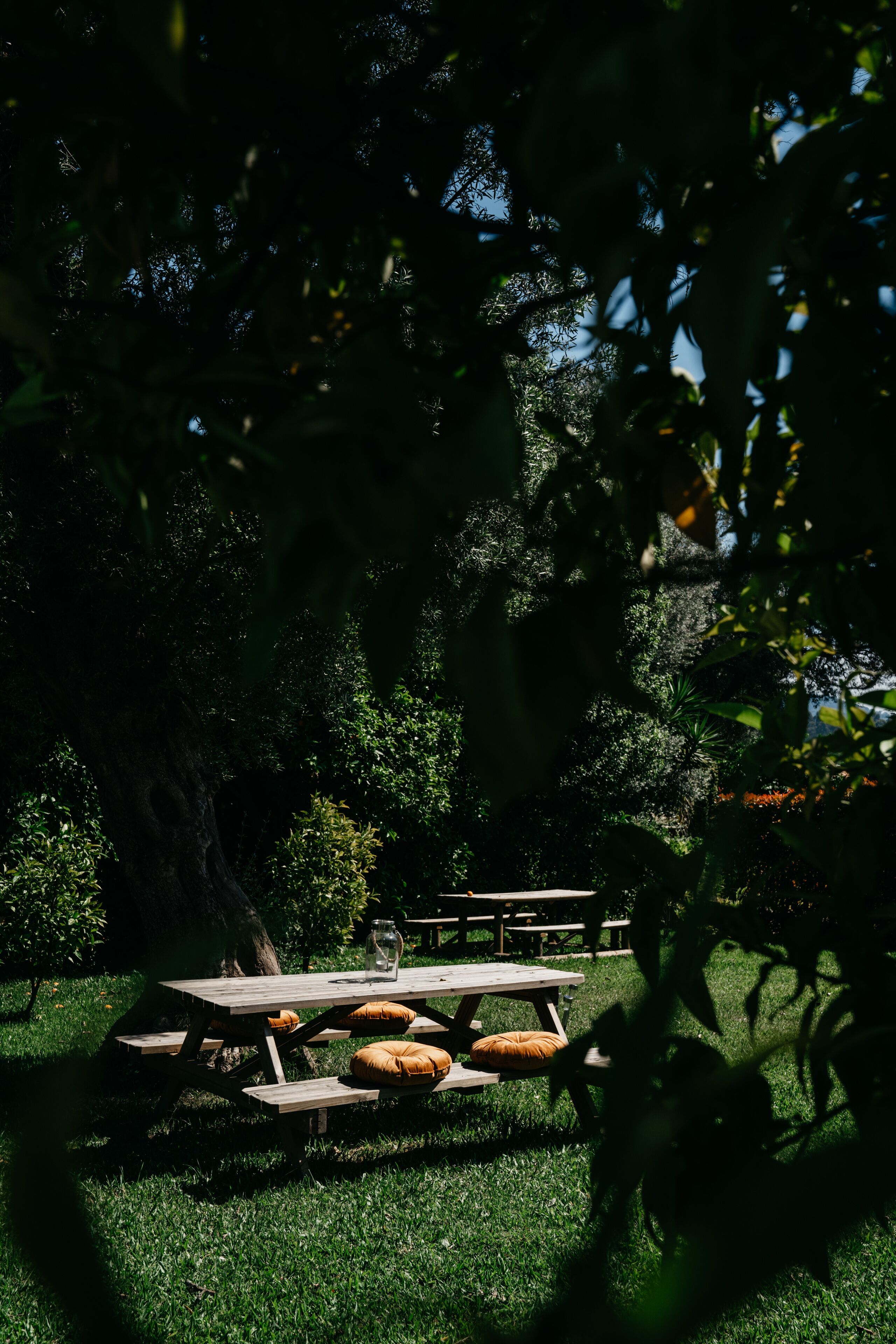 A picnic area with wooden tables and benches, surrounded by lush greenery and trees.